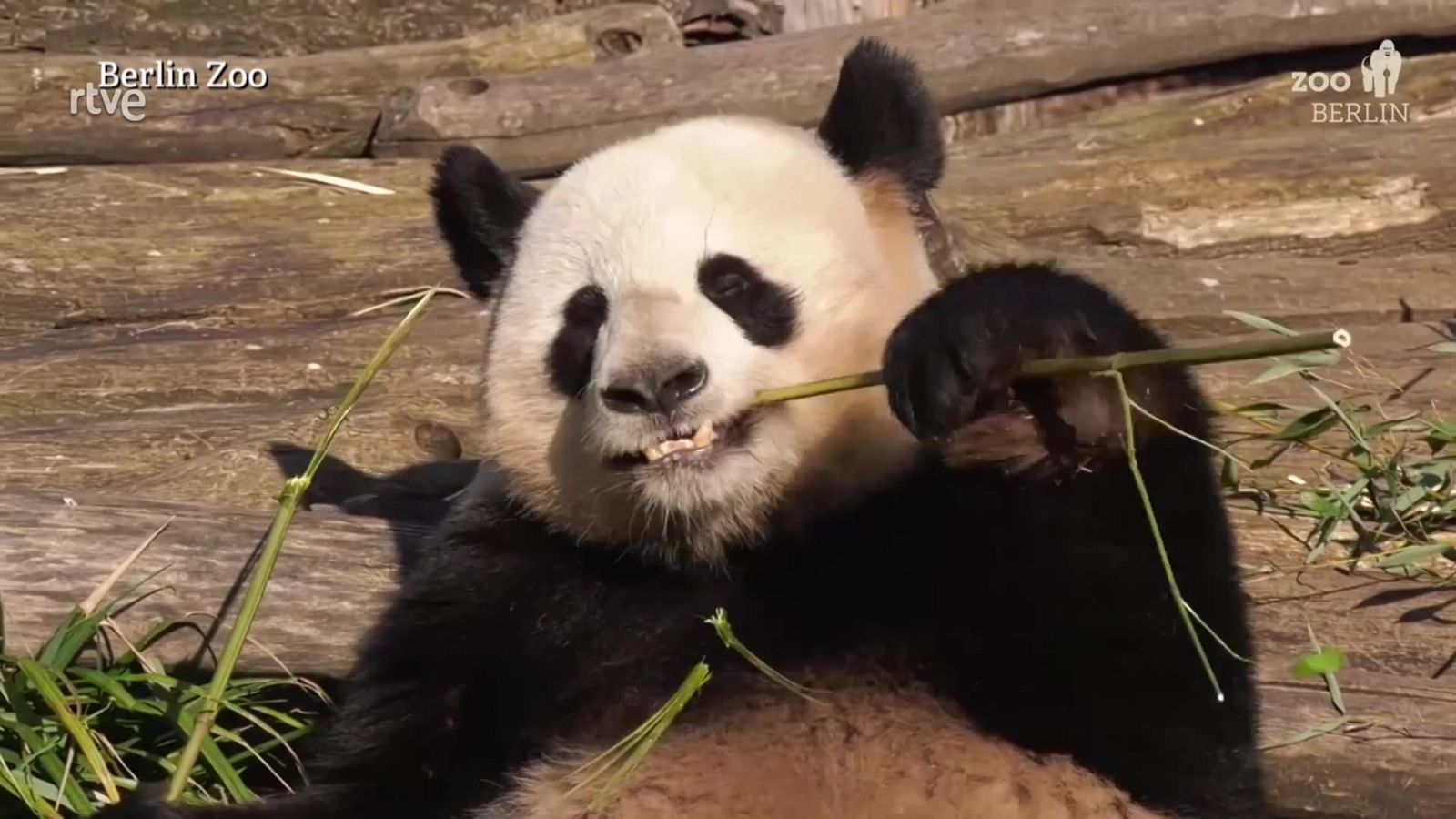 Aquí la Tierra - 30/07/21 - ver ahora