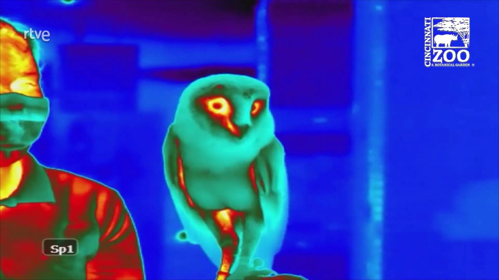 Aquí la Tierra - 01/08/21 - ver ahora