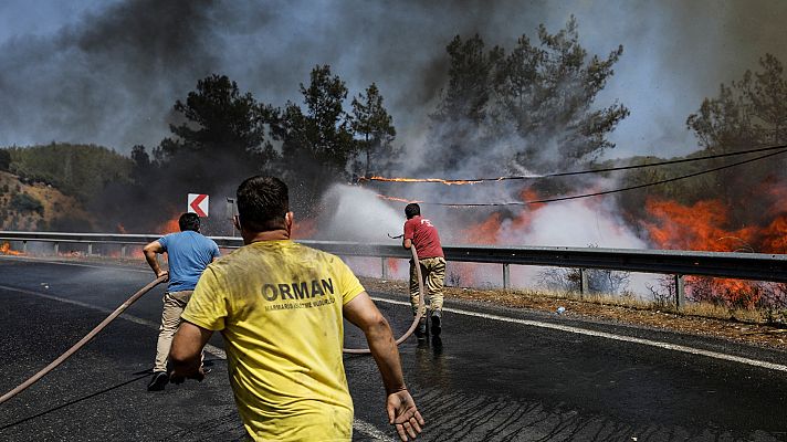 Siguen activos varios incendios forestales en el sudeste de Turquía