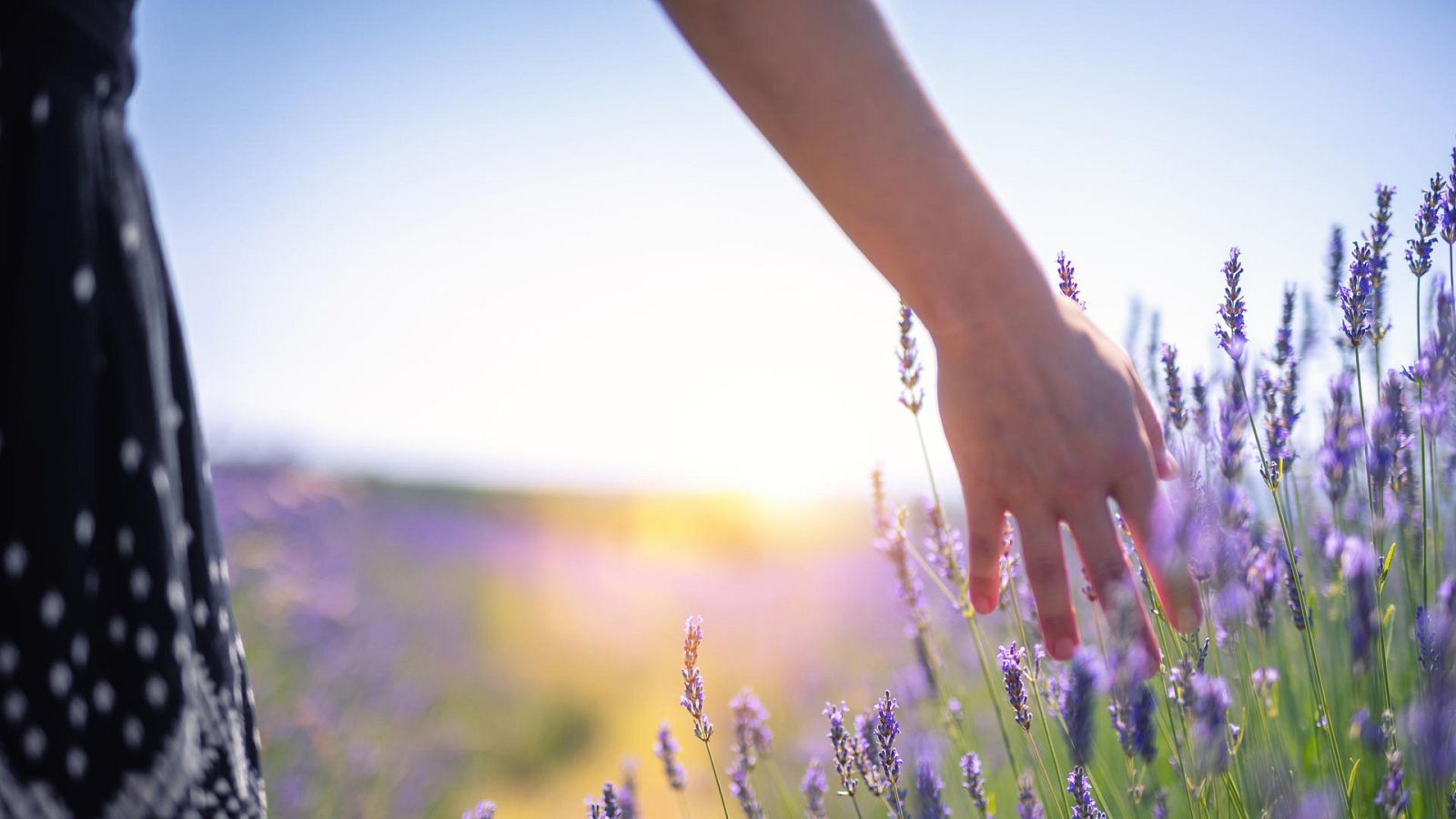 Sobrehumanos. Los sentidos del mañana - Episodio 1: El tacto - ver ahora