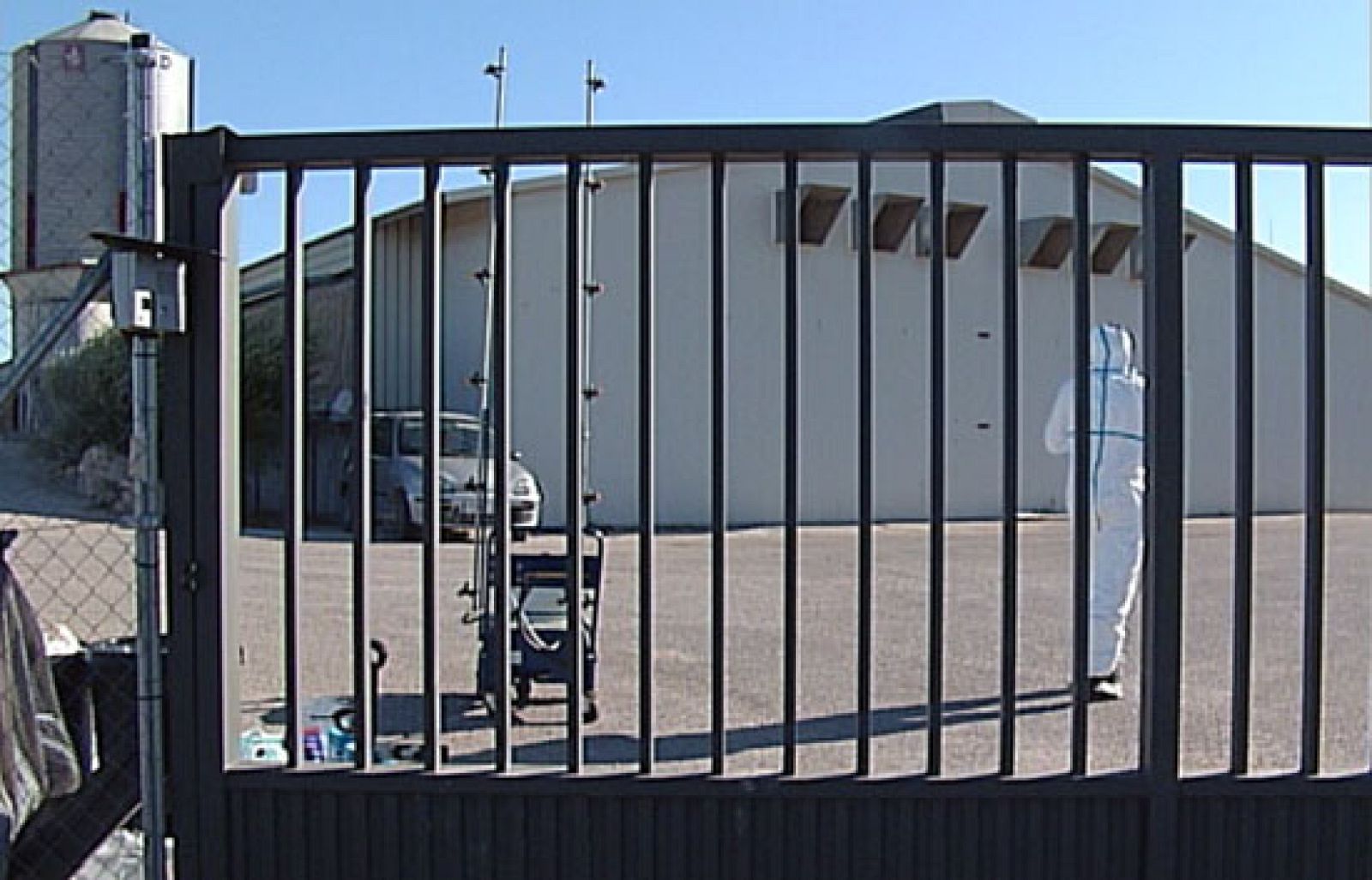 Alarma en las granjas de Guadalajara por un posible brote de gripe aviar - Ciencia y tecnología en Rtve.es | Ver