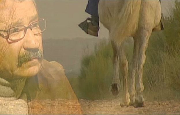 Informe Semanal - Los caminos del hidalgo