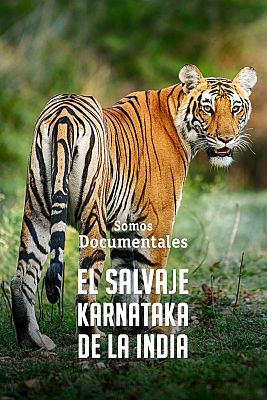 El salvaje Karnataka de la India