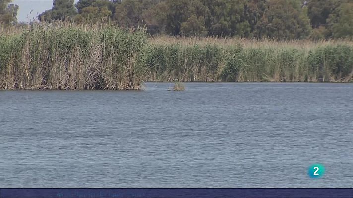L'Informatiu - Rebuig a l'acord per l'ampliació de l'aeroport del Prat