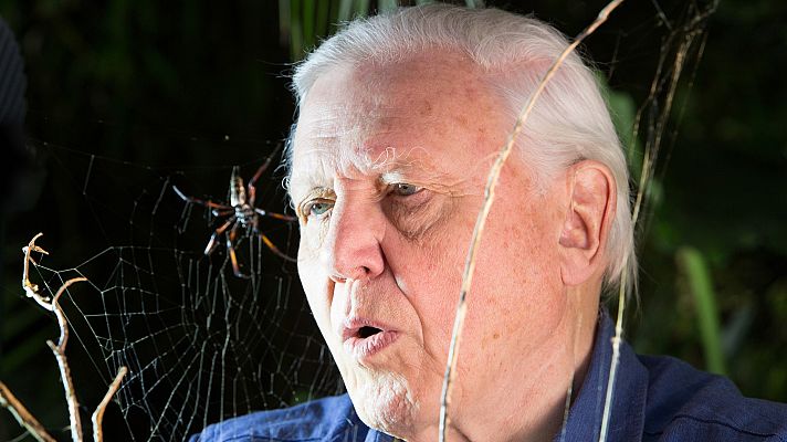 Micro monstruos - Conflicto