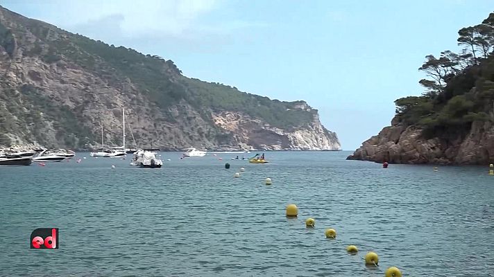 España Directo - España Directo - 03/08/21