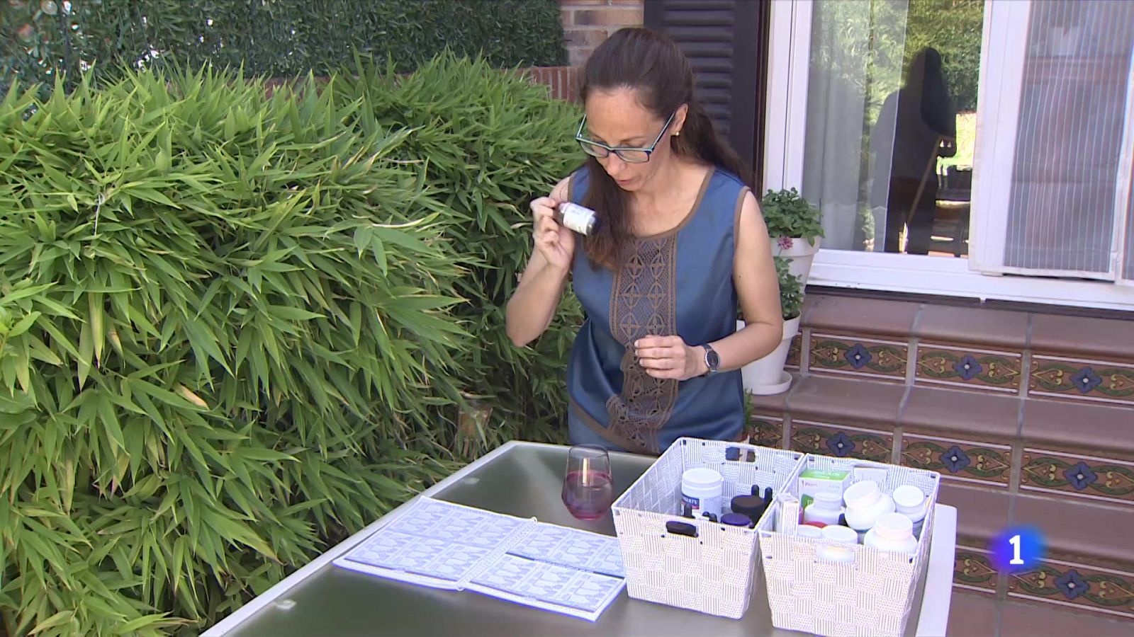 Lyme, la enfermedad infecciosa que puede transmitir la picadura de garrapata | Ver