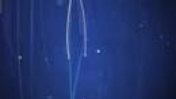 Noticias Andalucía - Noticias Andalucía - 04/08/2021