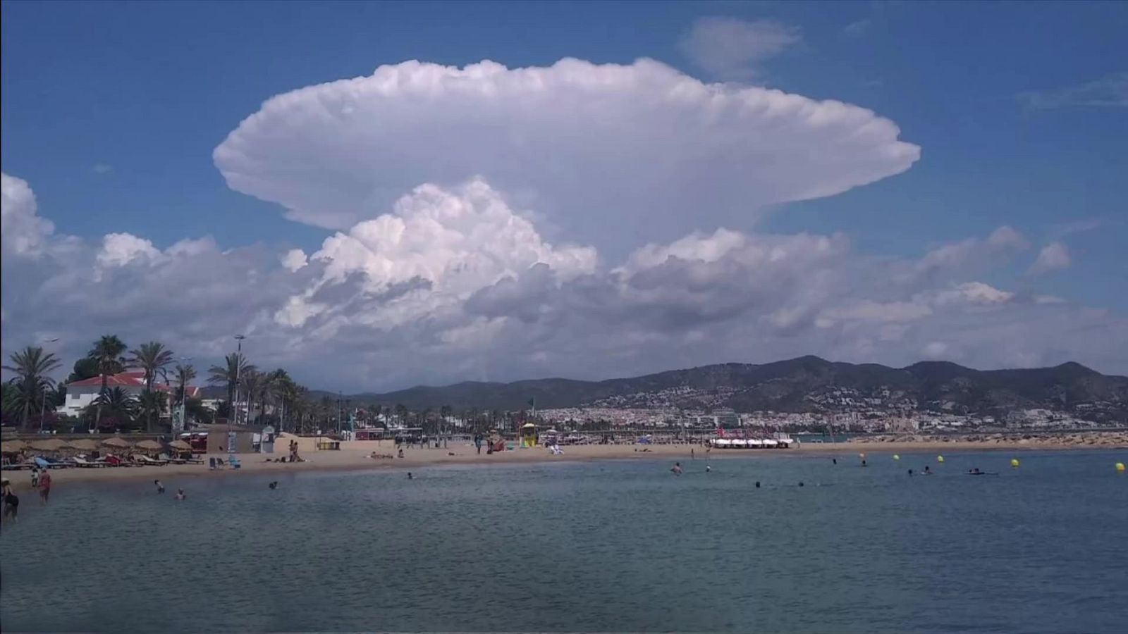 Temperaturas significativamente altas en puntos de Andalucía, Alicante, Murcia y sur de Valencia - ver ahora
