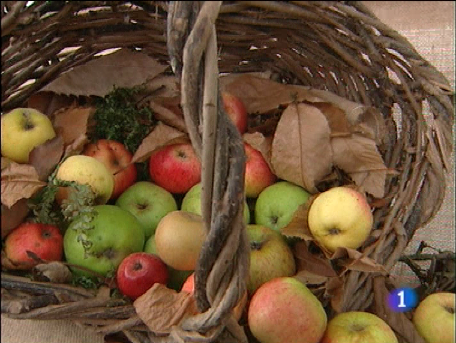 Panorama regional - 13/10/09 - Panorama Regional | Ver