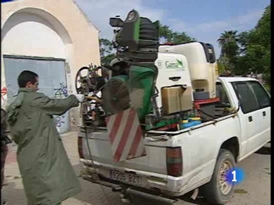 Ciencia y tecnología en Rtve.es - 500 atendidos por picaduras