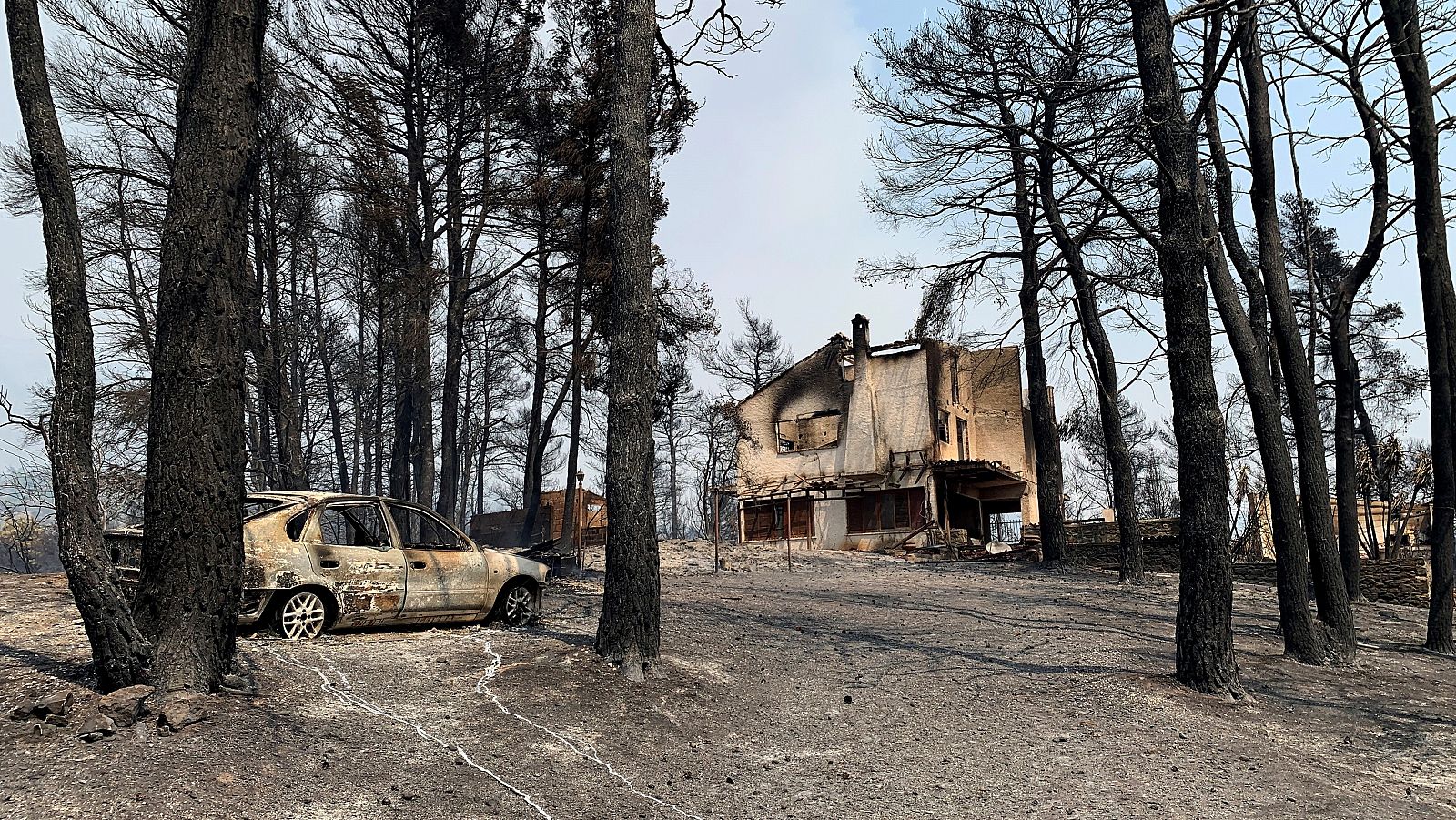 "El fuego ya está llegando a las viviendas"