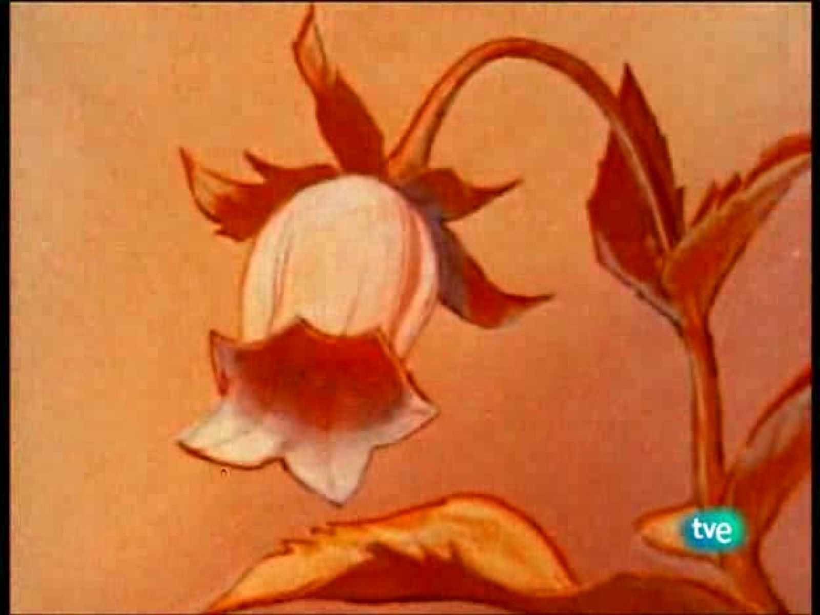 La abeja Maya - La Abeja Maya | Ver