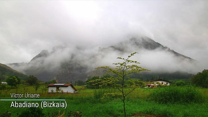 El tiempo - Temperaturas máximas altas en el valle del Guadalquivir e interior del sureste peninsular