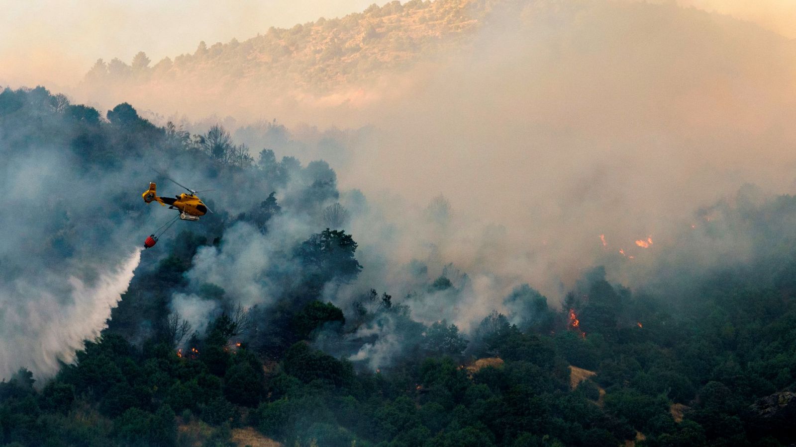Incendio en el Tiemblo | Más de 470 medios trabajan en la extinción