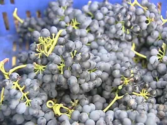 TeleCantabria - Telecantabria - 14/10/09