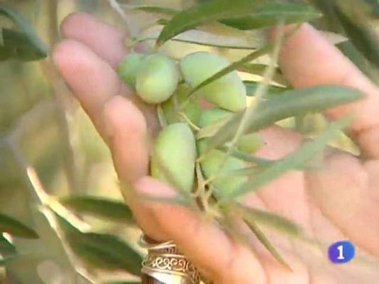 Noticias de Castilla-La Mancha - Noticias de Castilla-La Mancha - 14/10/09