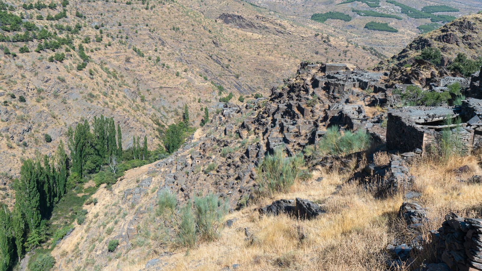 El bosque protector - Sierra de los Filabres: El bosque frontera - ver ahora