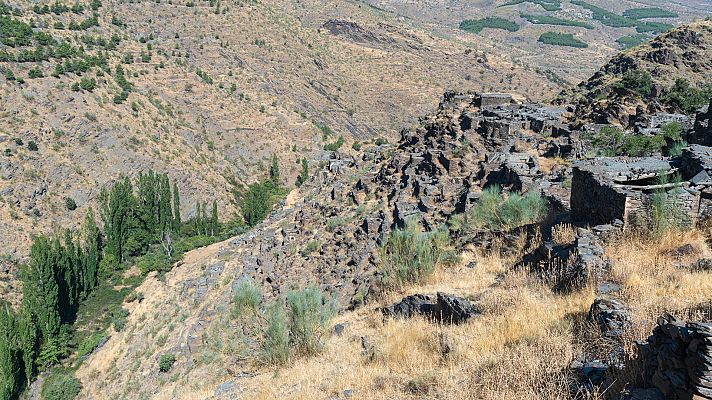 El bosque protector - Sierra de los Filabres: El bosque frontera