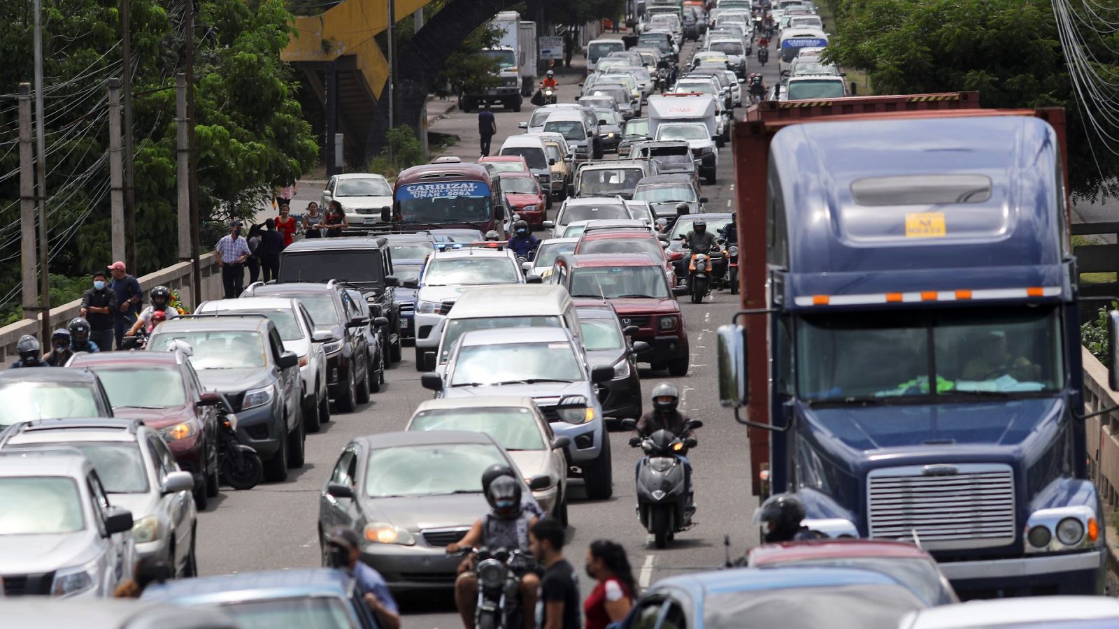 Greenpeace: "Los escenarios que plantea el IPCC son demoledores" - Informativo 24h | Ver