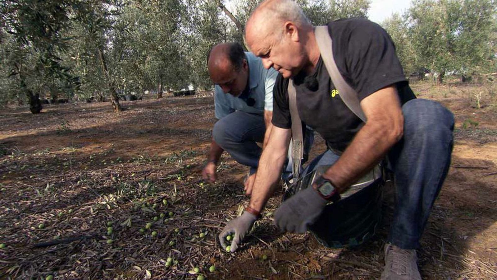 Urbanitas por el campo - Un bombero por Andalucía - ver ahora
