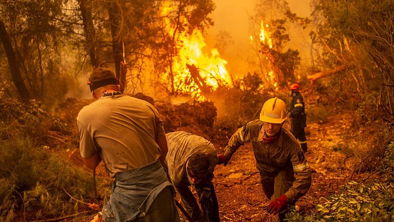 Bomberos y residentes luchan con lo que tienen contra los incendios forestales en la isla de Evia