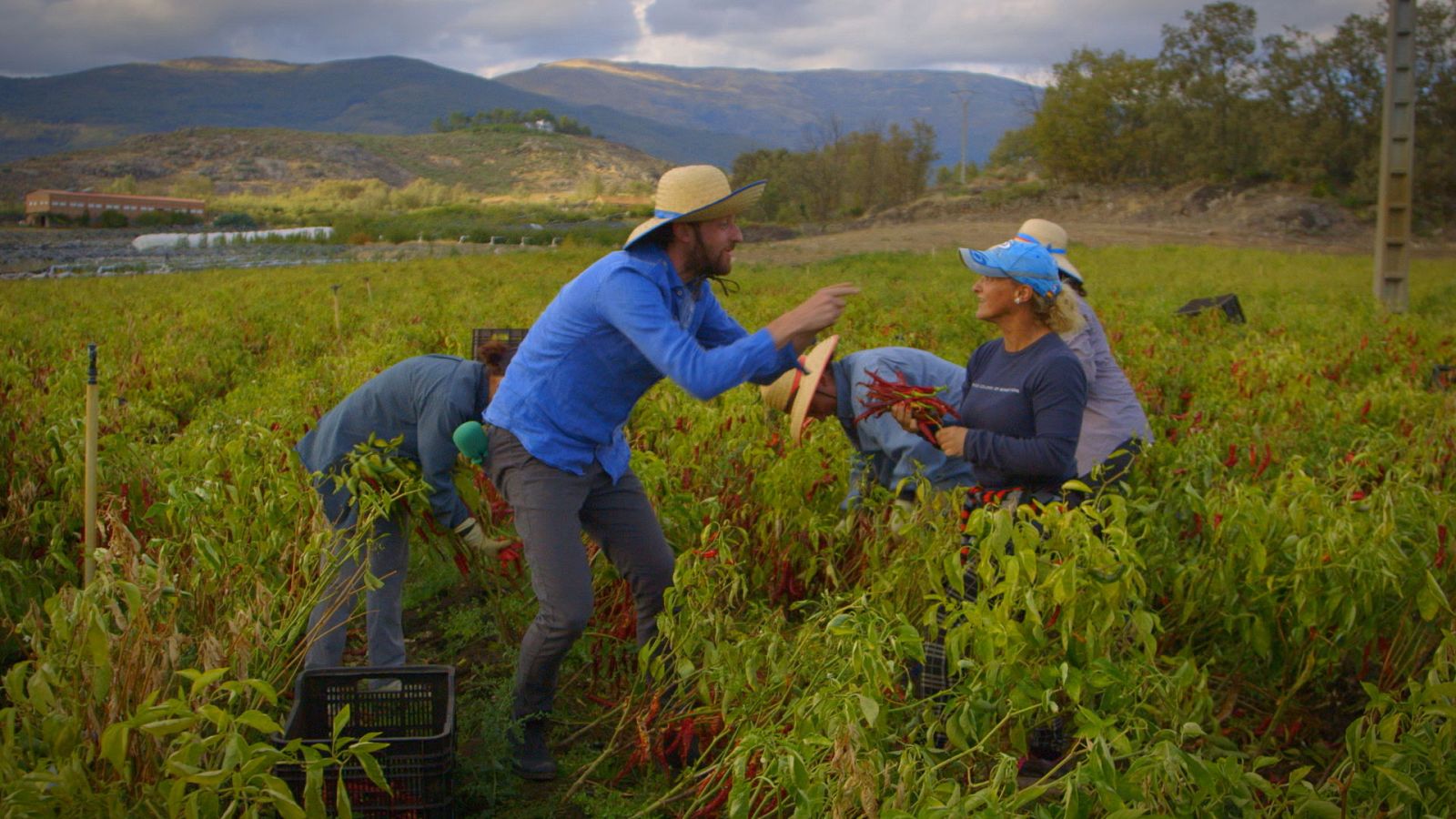El paisano - Cuacos de Yuste (Extremadura) - ver ahora