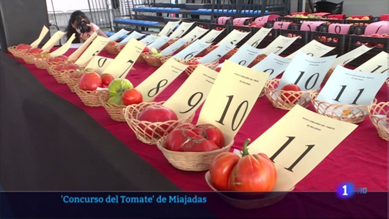 'Concurso del Tomate' de Miajadas