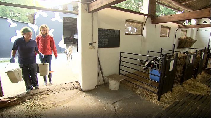 Urbanitas por el campo - Una porteña en el corazón de Galicia