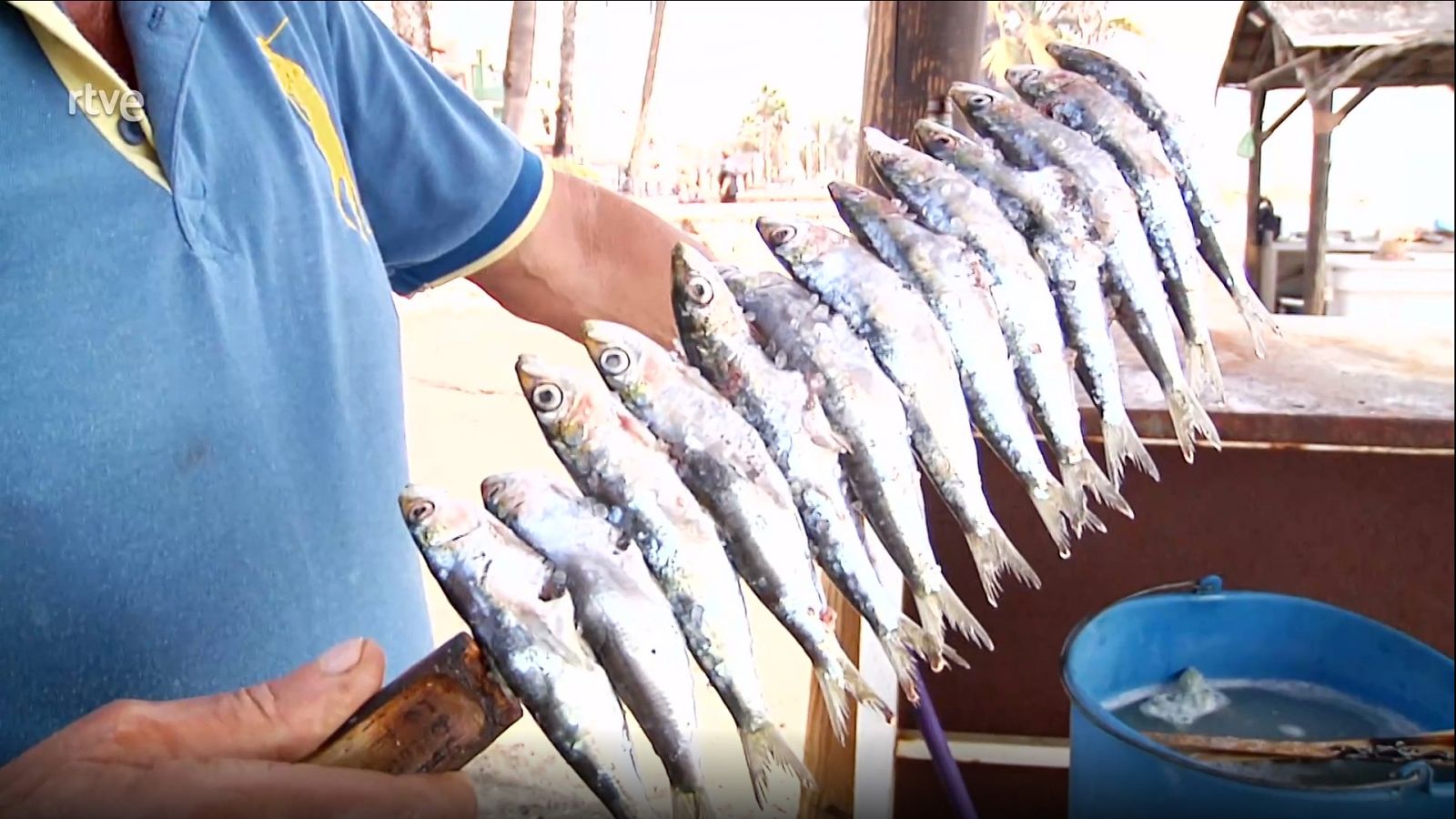 Planeta comida - Programa 9 - ver ahora