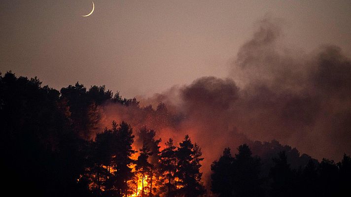 Telediario 1 - Los incendios siguen causando estragos en el Mediterráneo