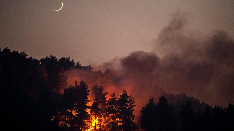 Los incendios siguen causando estragos en el Mediterráneo - Ver ahora
