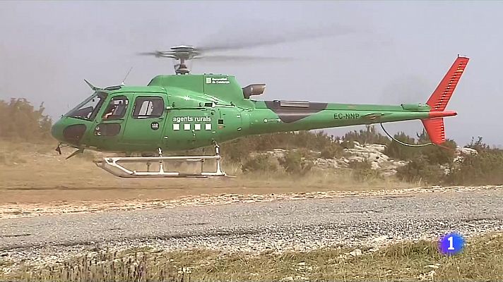 L'Informatiu - L'Informatiu - 12/08/2021