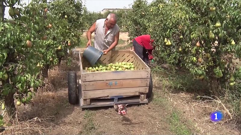 S'intensifica l'onada de calor a Ponent i la Catalunya Central