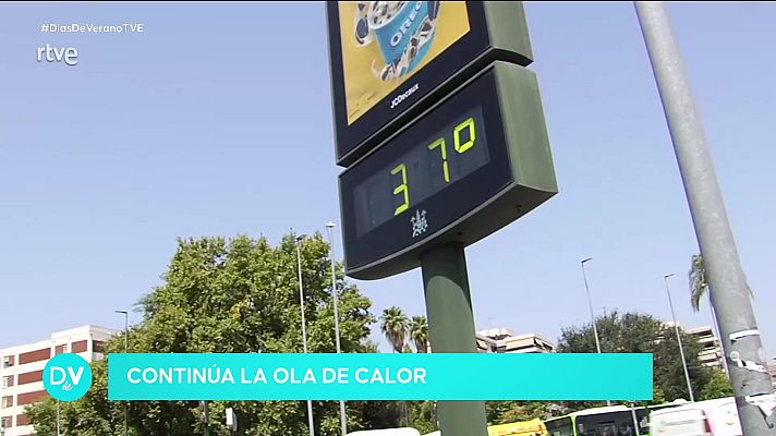 Días de verano - Programa 4