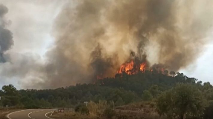 Un incendio en La Pobla de Massaluca, en Tarragona, obliga a evacuar un camping por precaución