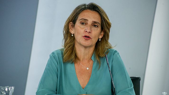 Informativo 24h - Ribera: "No se puede transformar el mercado por decreto"