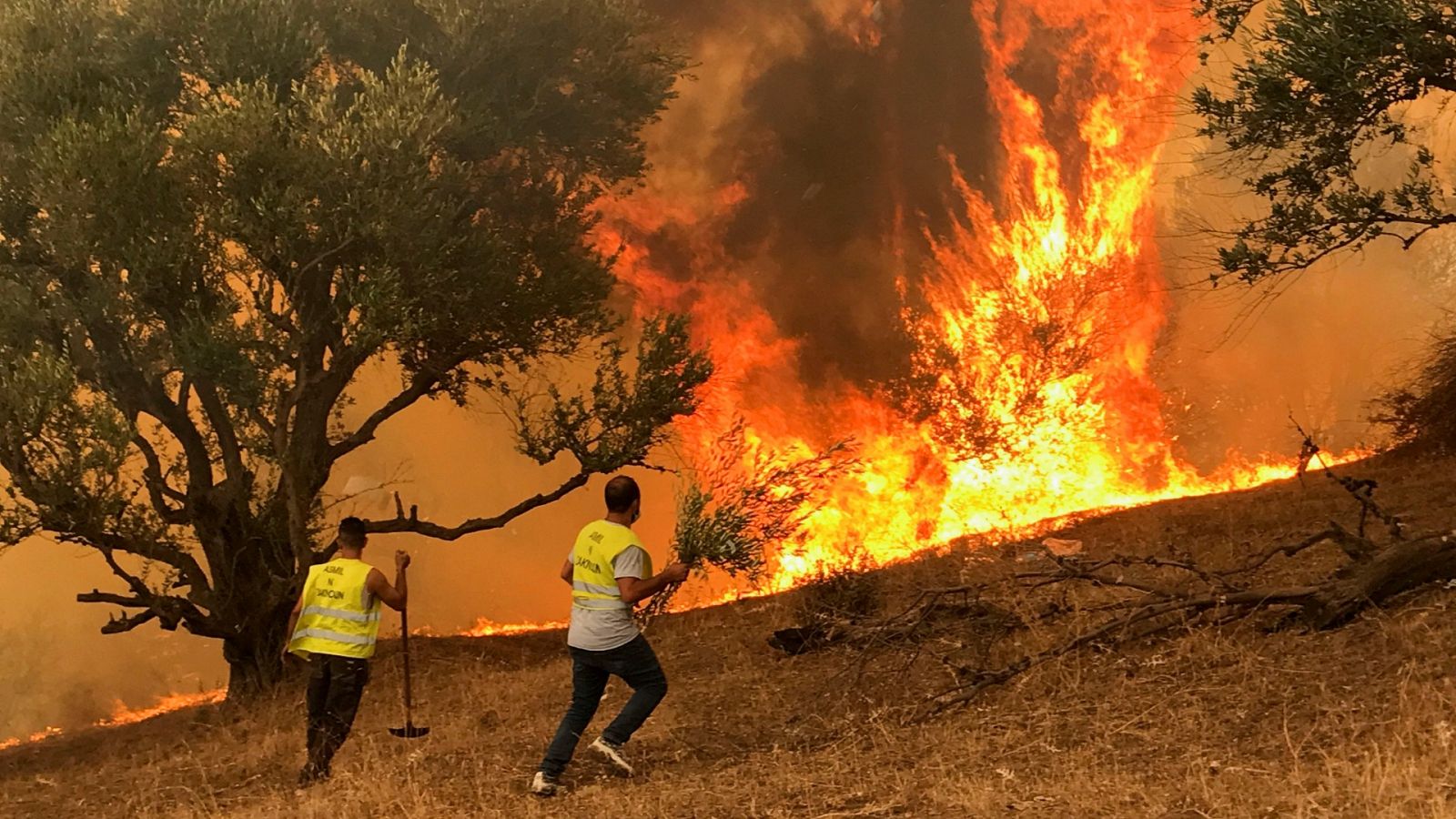 Los incendios en Argelia dejan más de 70 muertos