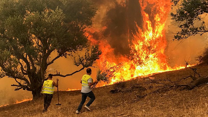 Los incendios en Argelia dejan más de 70 muertos