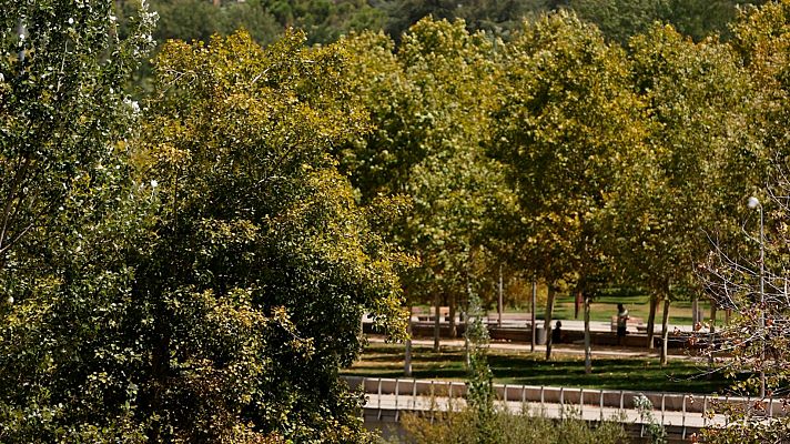 Telediario 1 - La ola de calor dispara el riesgo de incendios en toda España