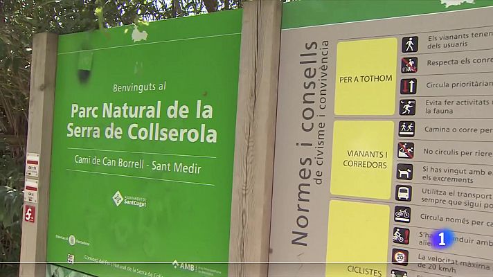 L'Informatiu - L'Informatiu - 15/08/2021