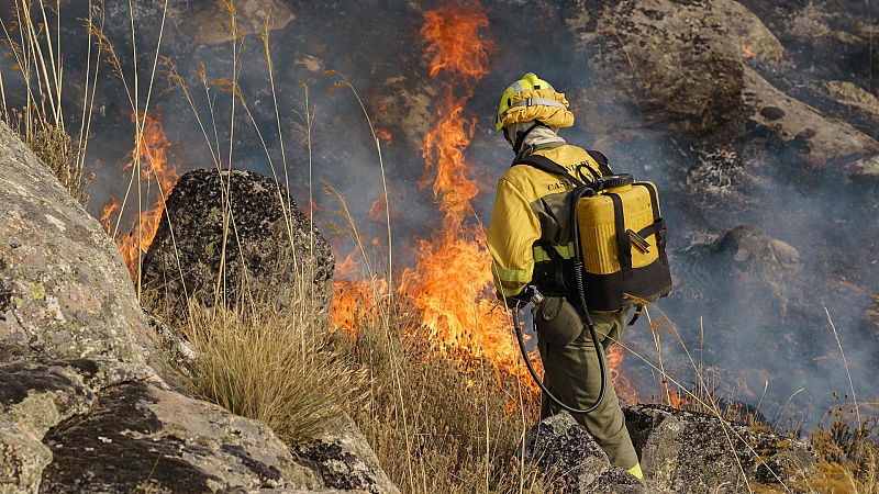 Un incendio en Navalacruz, vila, quema 10.000 hectreas