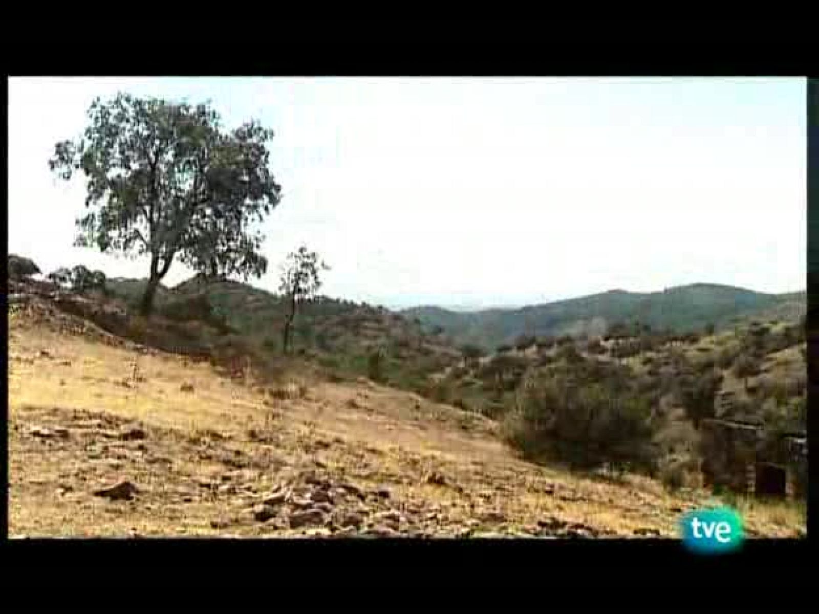 Días de cine - 15/10/09 - Días de cine | Ver