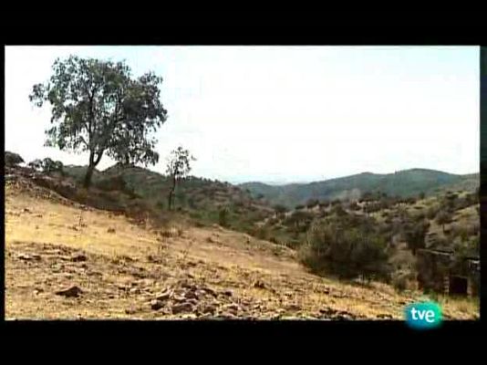 Días de cine - Días de cine - 15/10/09