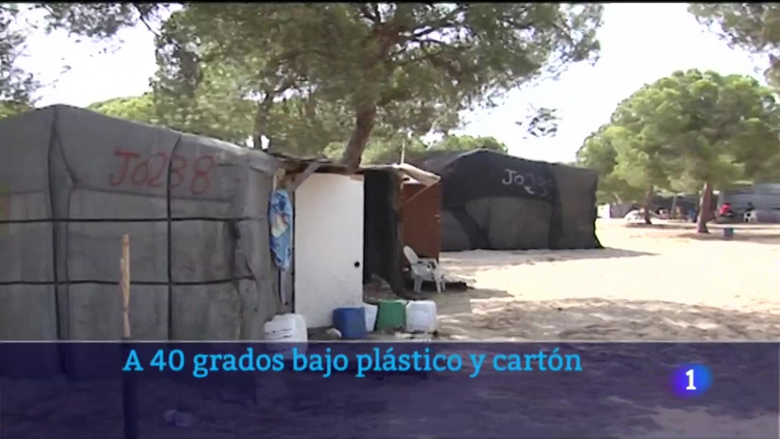 A 40 grados entre plástico y cartón - Noticias Andalucía | Ver