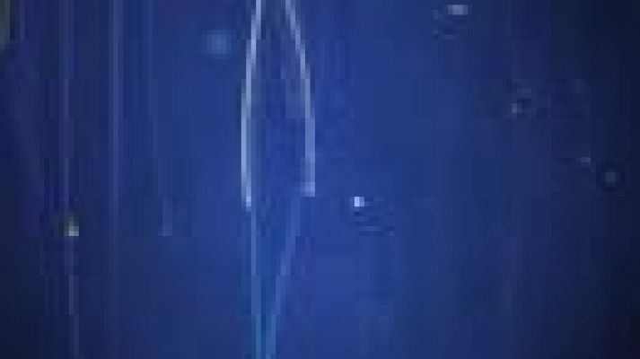 Noticias Andalucía - Noticias Andalucía 2 - 16/08/2021