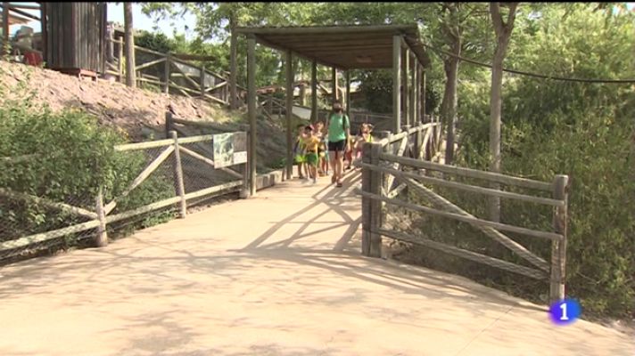 Noticias Murcia - Los niños combaten el calor jugando