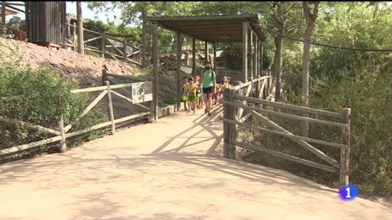 Vídeo sobre la diversión se convierte en herramienta para combatir el calor