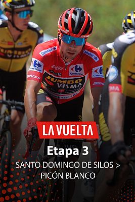 3ª etapa:Sto Domingo Silos - Espinosa de los Monteros. Picón