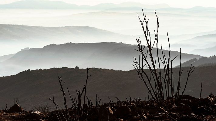 El incendio de Navalacruz no está controlado ni estabilizado